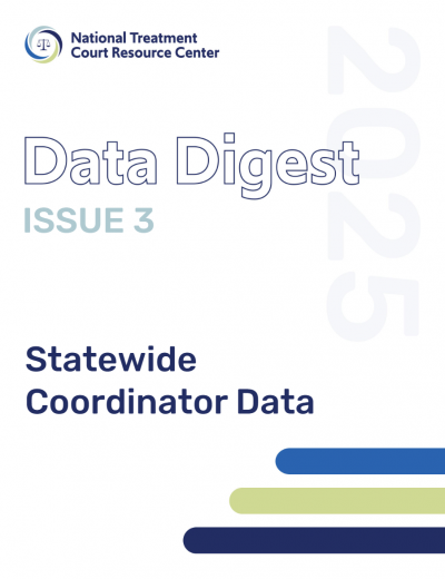 Data Digest 3 Cover